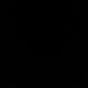 Meet your Posher, Brianne